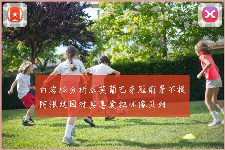 白岩松分析法英葡巴夺冠前景不提阿根廷因对其喜爱担忧像贝利